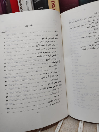 لاشين - الخصومات البلاغية و النقدية في صنعة اللغة