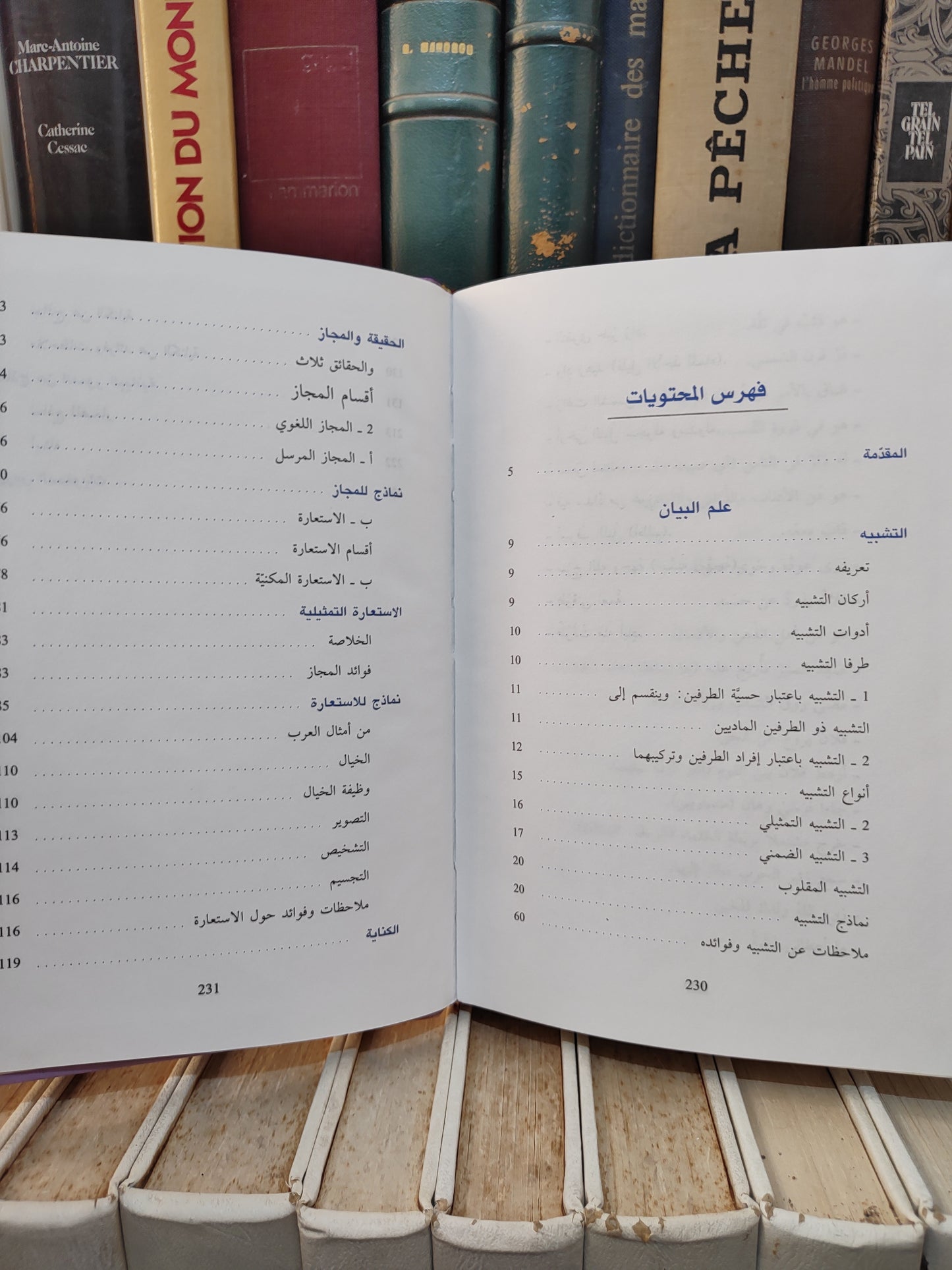 الشيخ - المتقن في علم البيان
