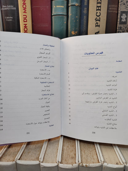 الشيخ - المتقن في علم البيان