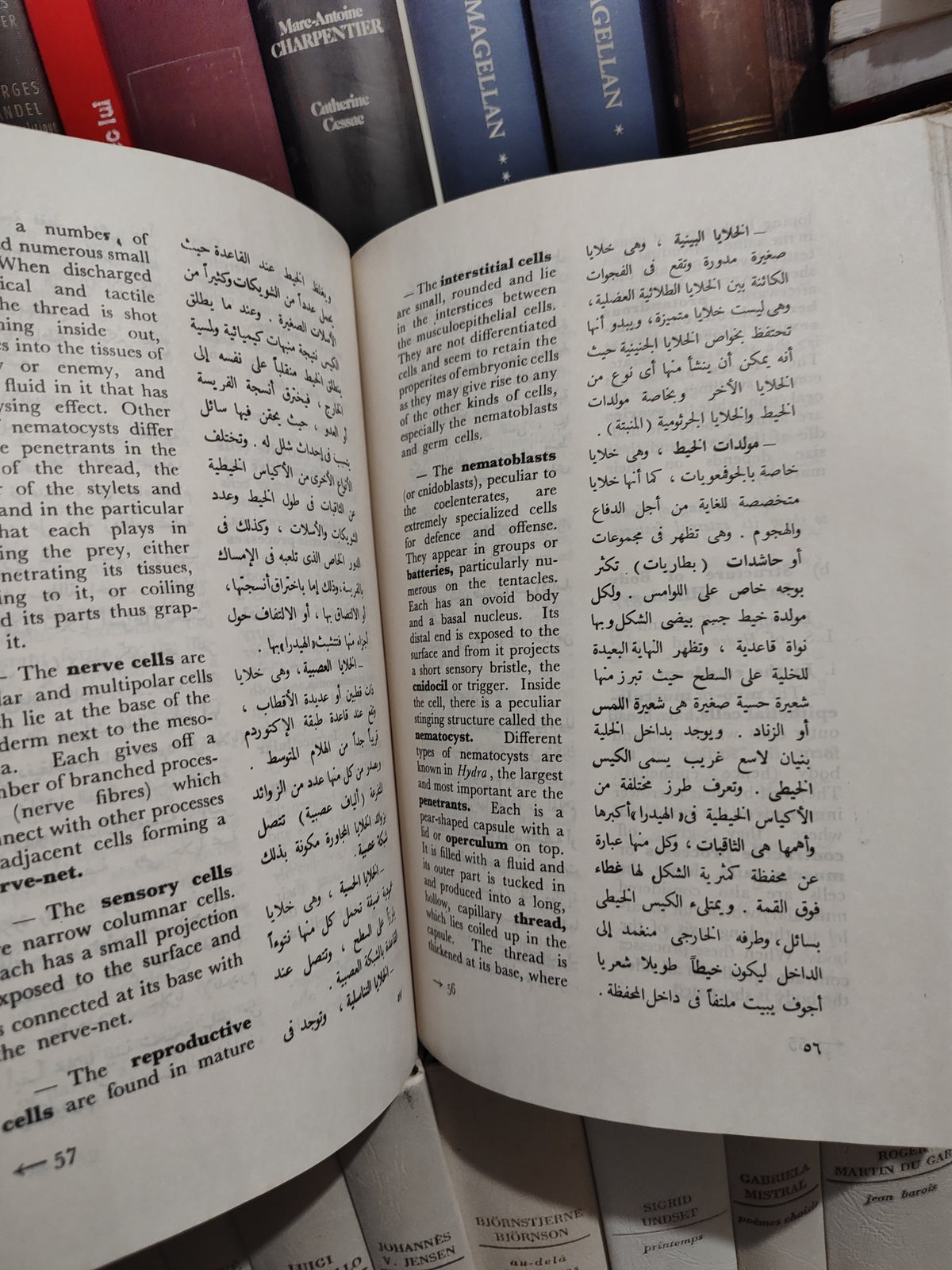 الحسيني - بيولوجية الحيوان العلمية