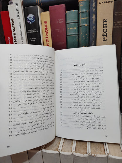 موحى - مسؤولية المحامي في التشريع المغربي