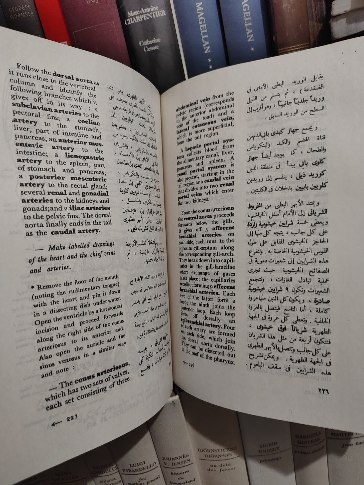 الحسيني - بيولوجية الحيوان العلمية