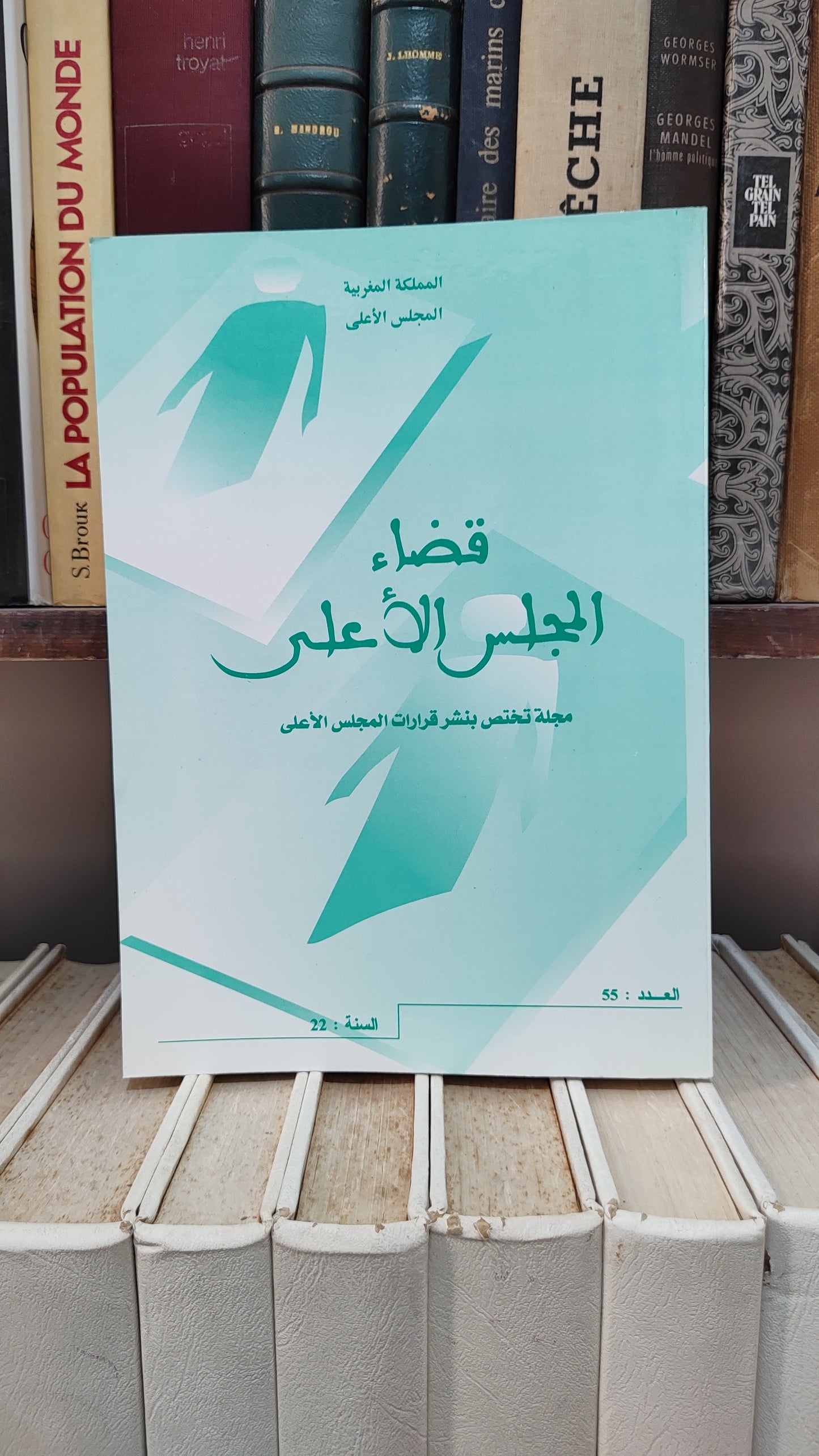 قضاء المجلس الاعلى 55