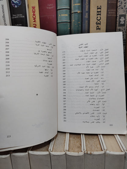 شاهم - المدخل لدراسة العلاقات الدولية