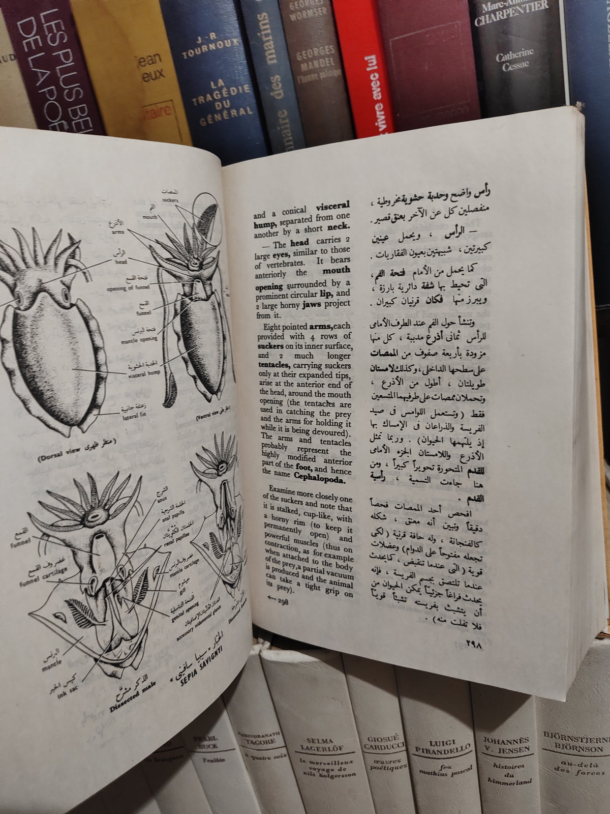 الحسيني - بيولوجية الحيوان العلمية
