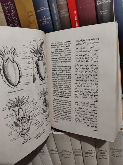 الحسيني - بيولوجية الحيوان العلمية