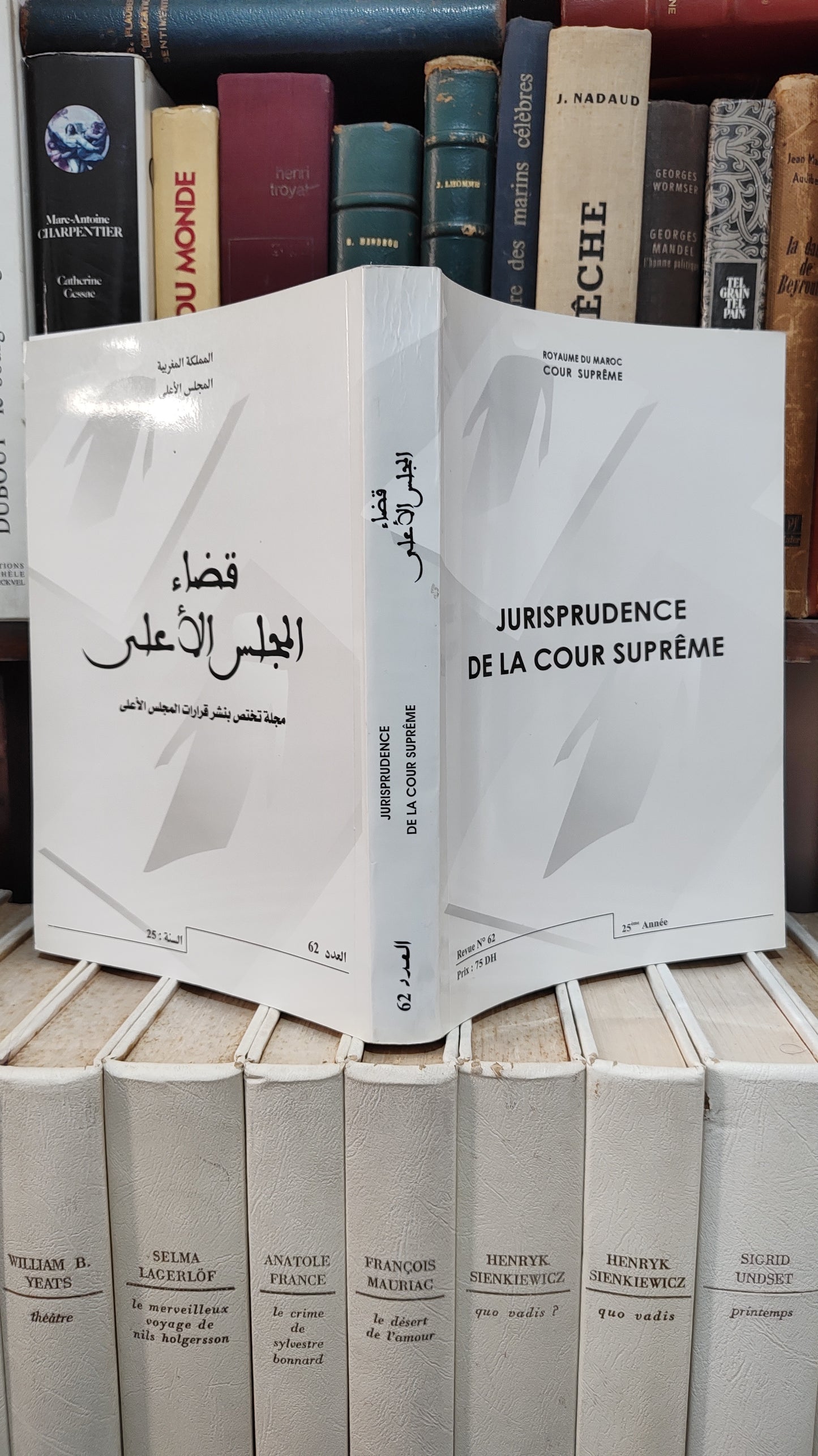 قضاء المجلس الاعلى 62