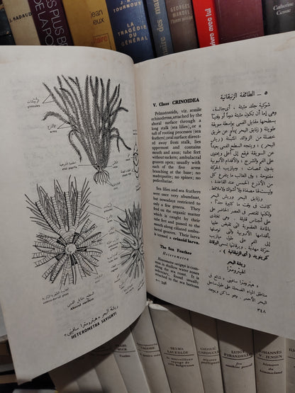 الحسيني - بيولوجية الحيوان العلمية