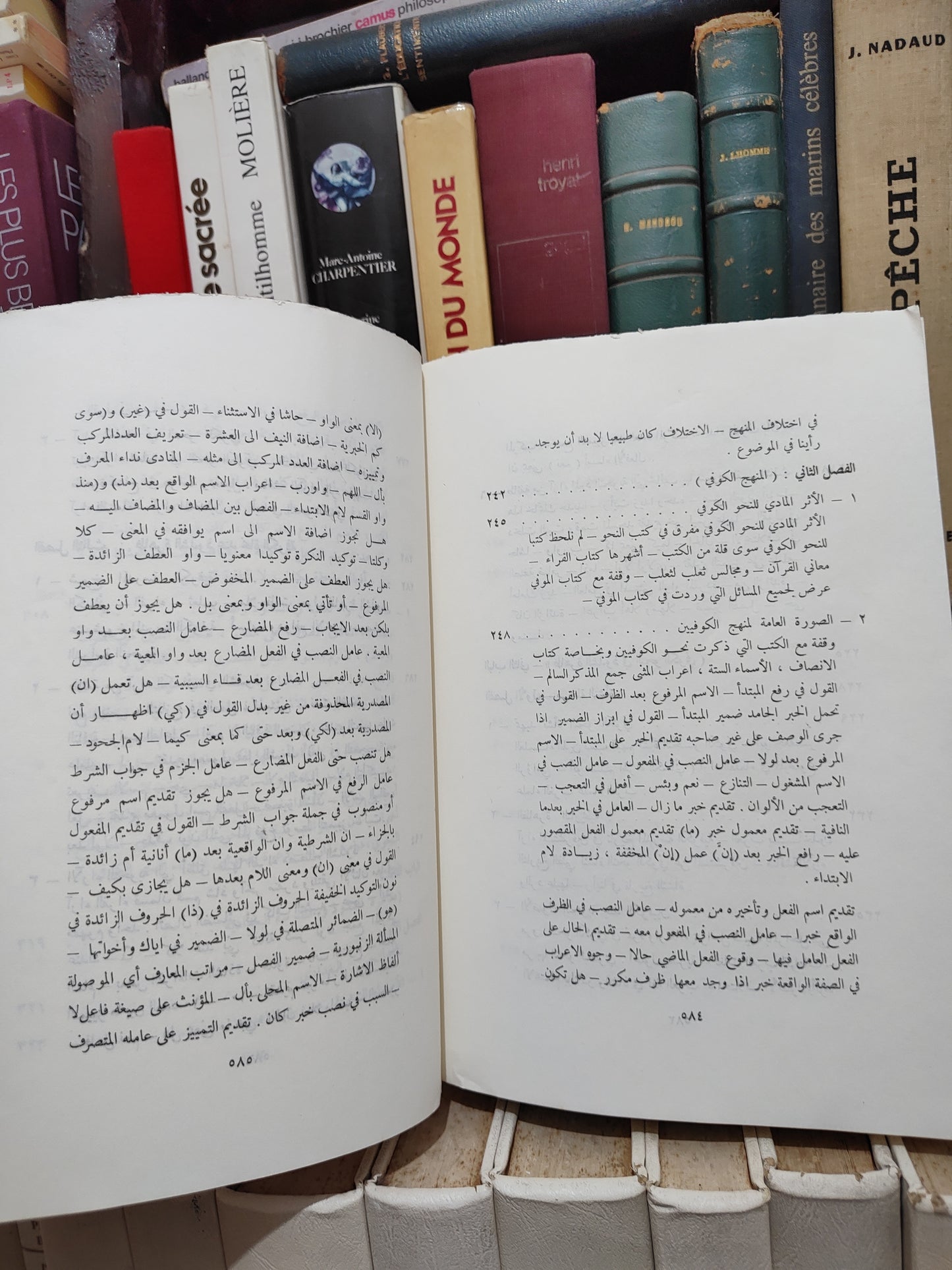 الدجيني - ظاهرة الشذوذ في النحو العربي