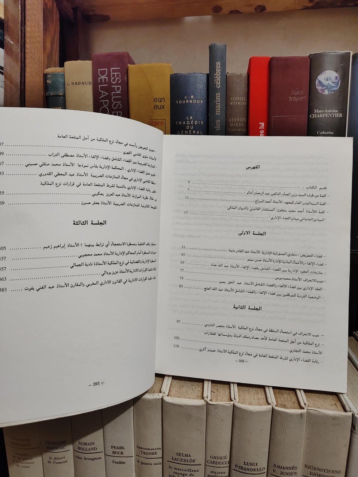 المحاكم الادارية دعامة من دعائم دولة القانون