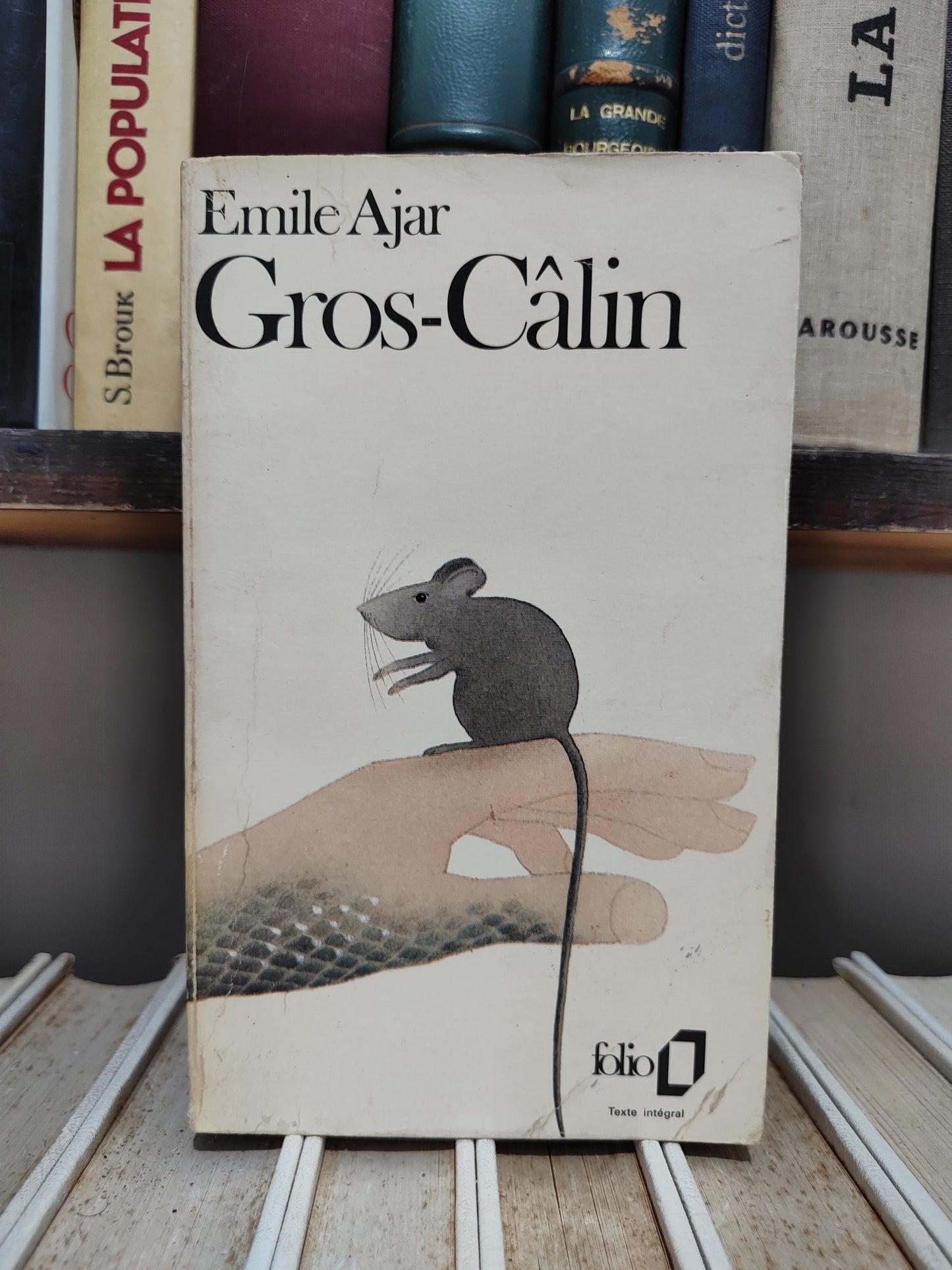 Ajar - Fros-Calin