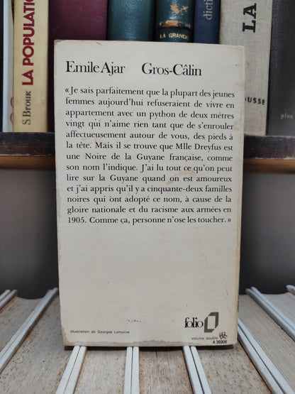 Ajar - Fros-Calin
