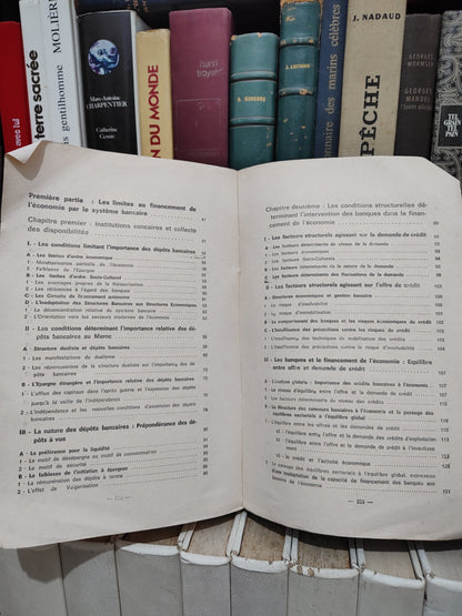 Amour - Intermédiation financière et développement économique du Maroc