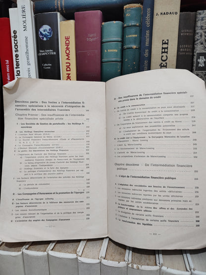 Amour - Intermédiation financière et développement économique du Maroc