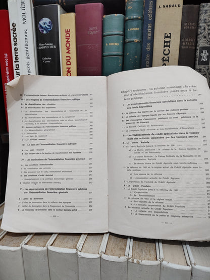 Amour - Intermédiation financière et développement économique du Maroc
