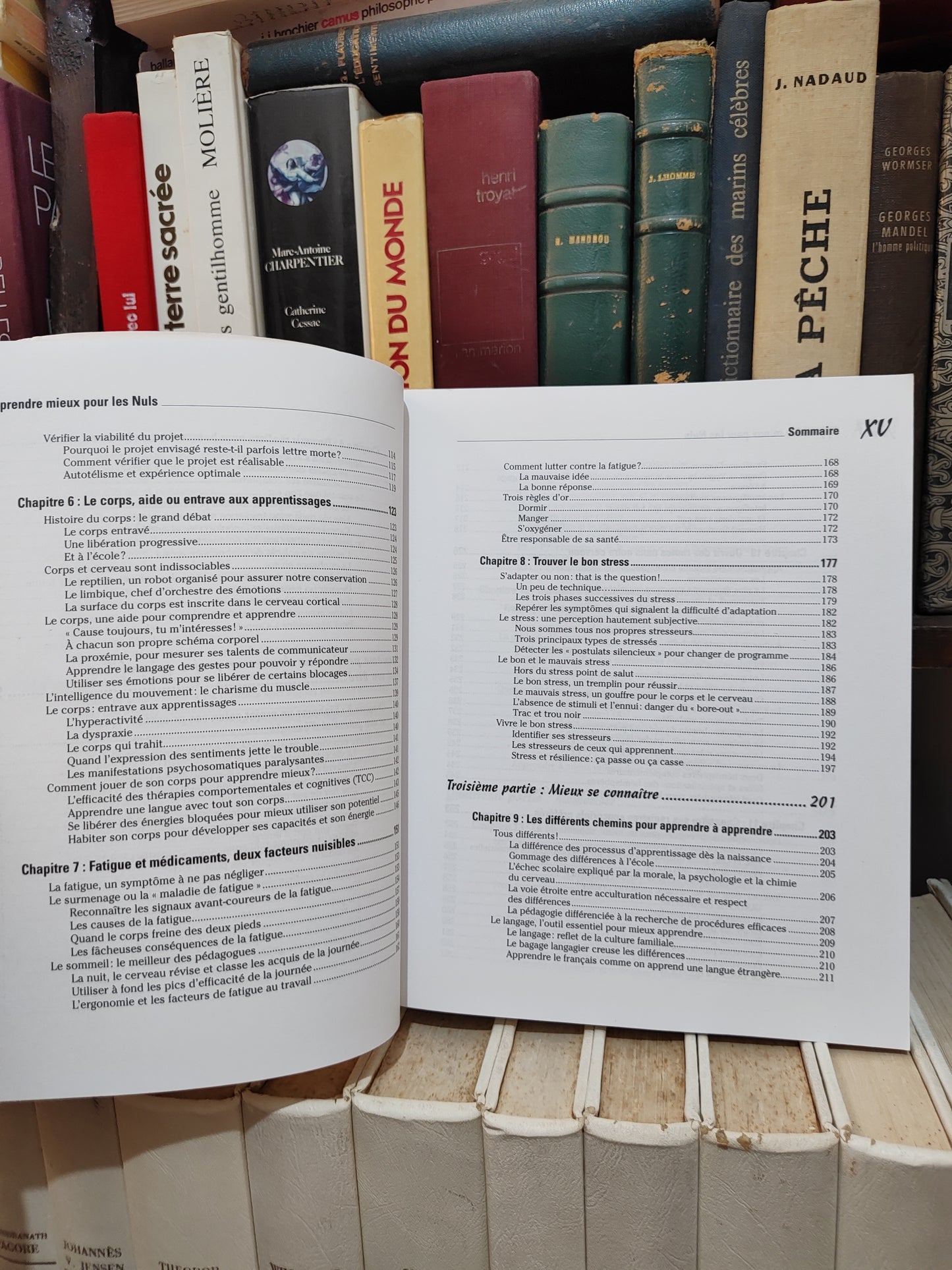 Chalvin - Apprendre mieux pour les nuls