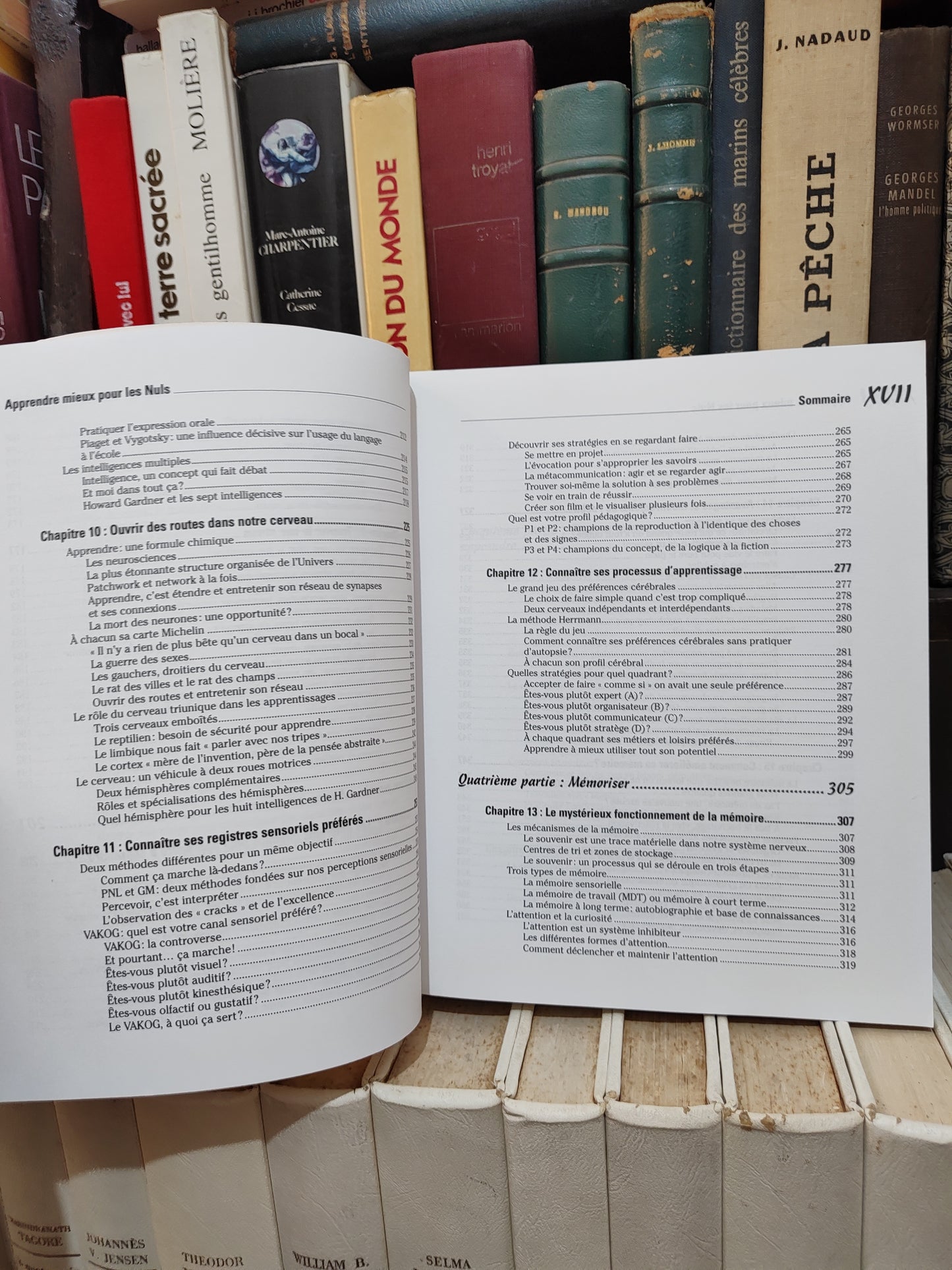 Chalvin - Apprendre mieux pour les nuls