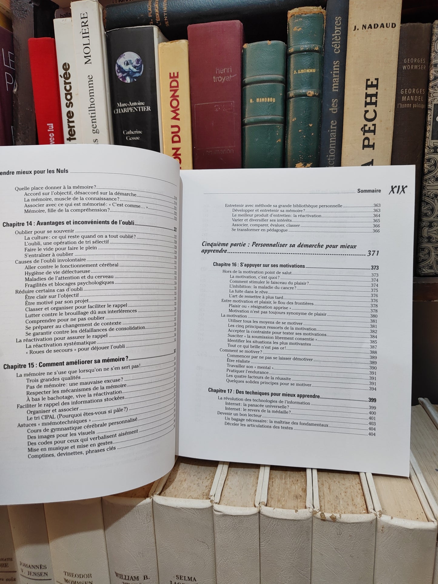 Chalvin - Apprendre mieux pour les nuls