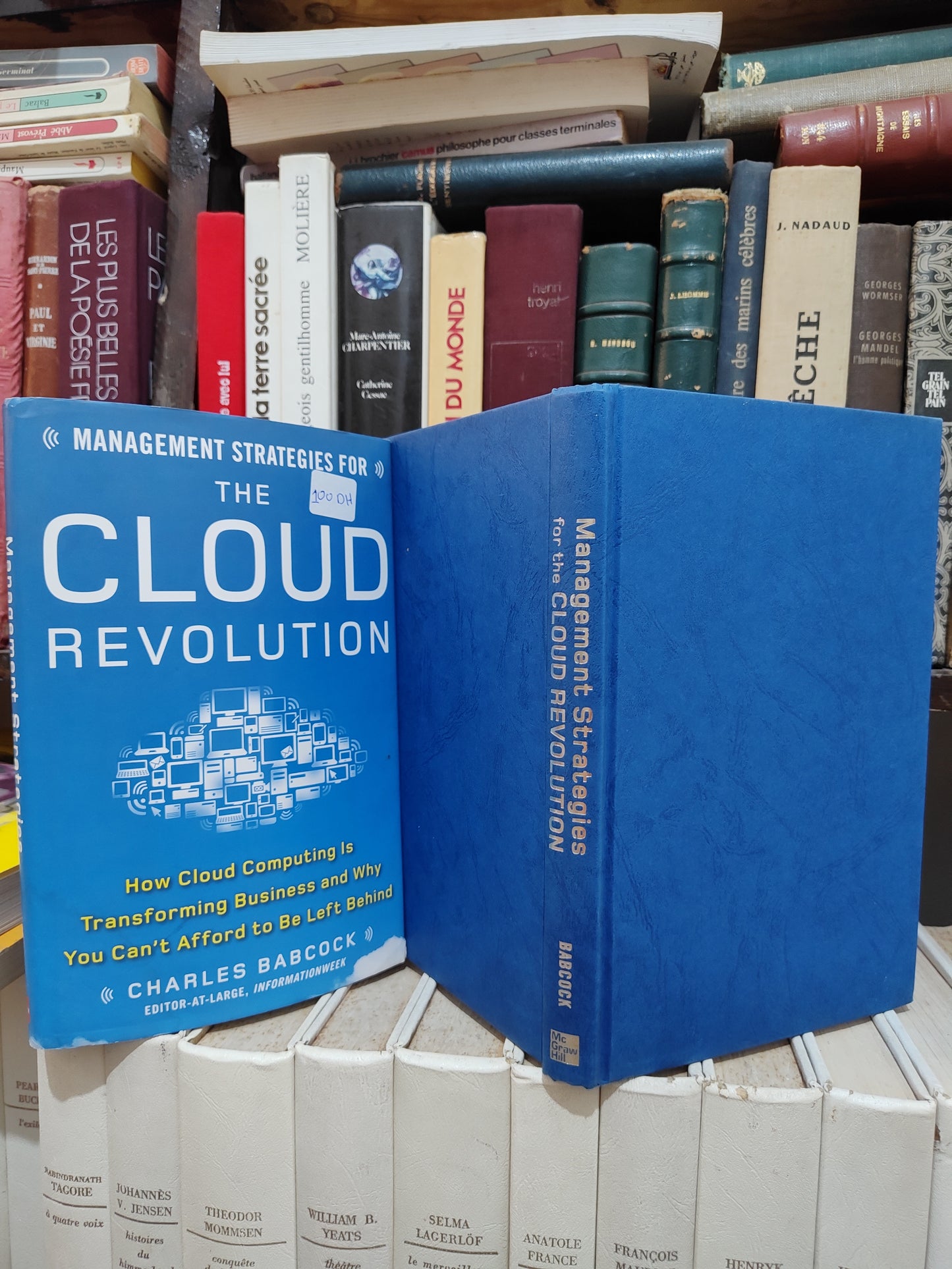 Babcock - Managment strategies for the cloud revolution