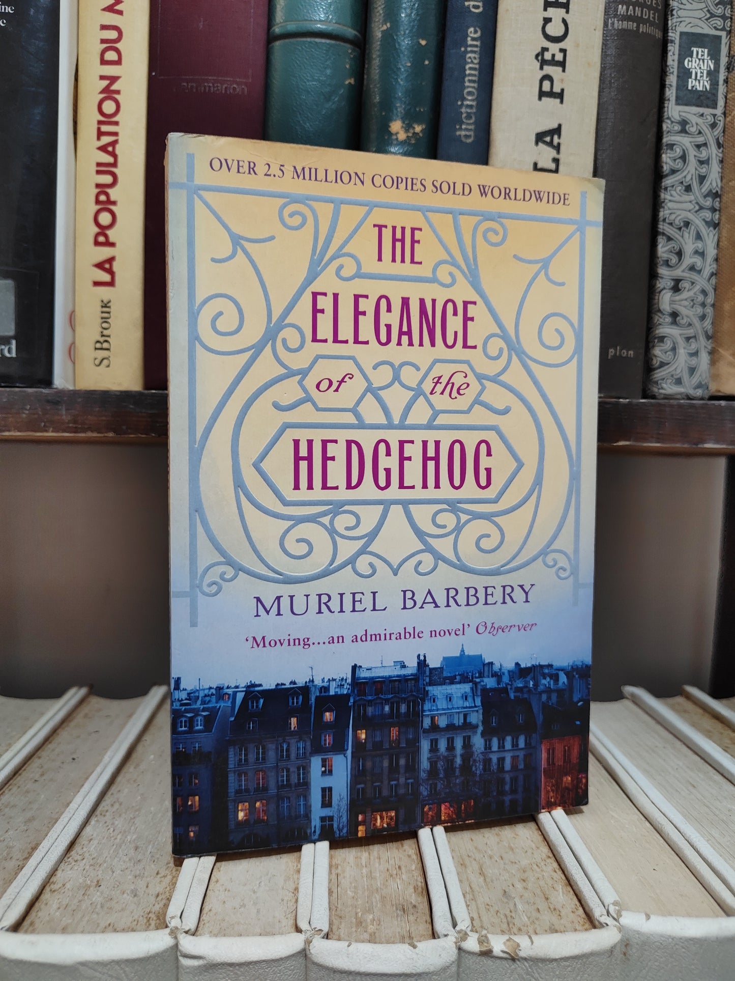 Barbery - The elegence of the hedgehog