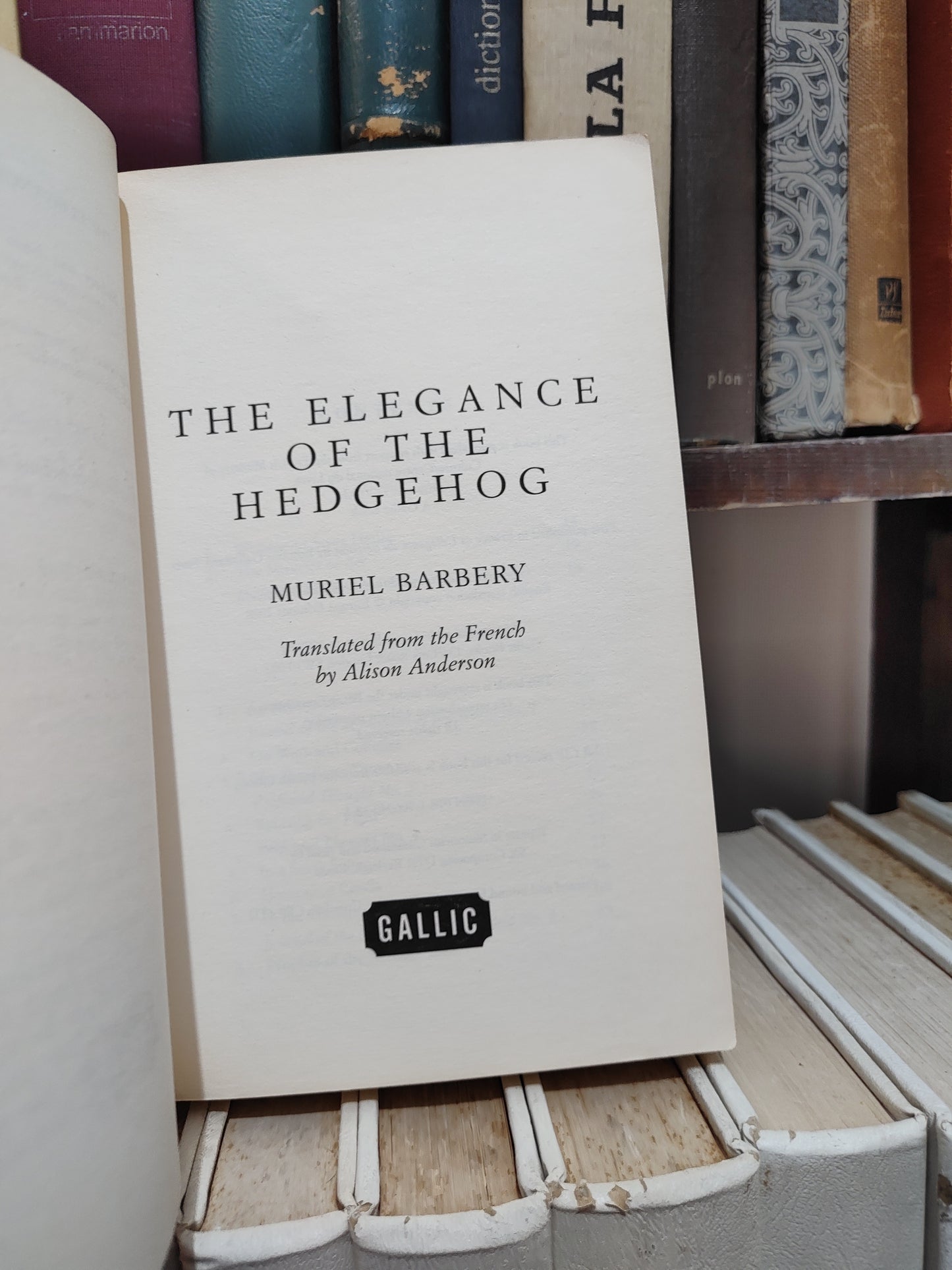 Barbery - The elegence of the hedgehog