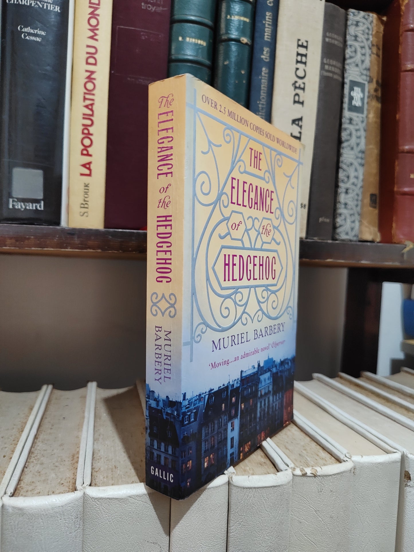 Barbery - The elegence of the hedgehog
