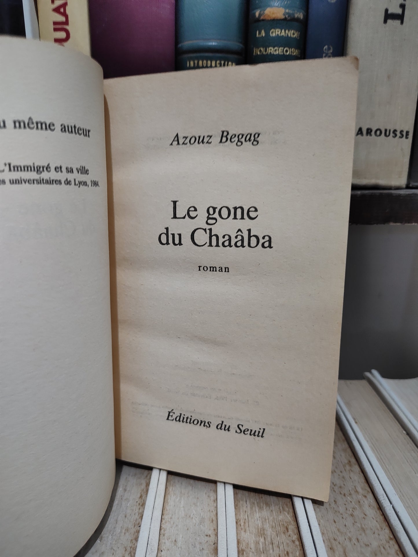 Begag - Le gone du Chaaba