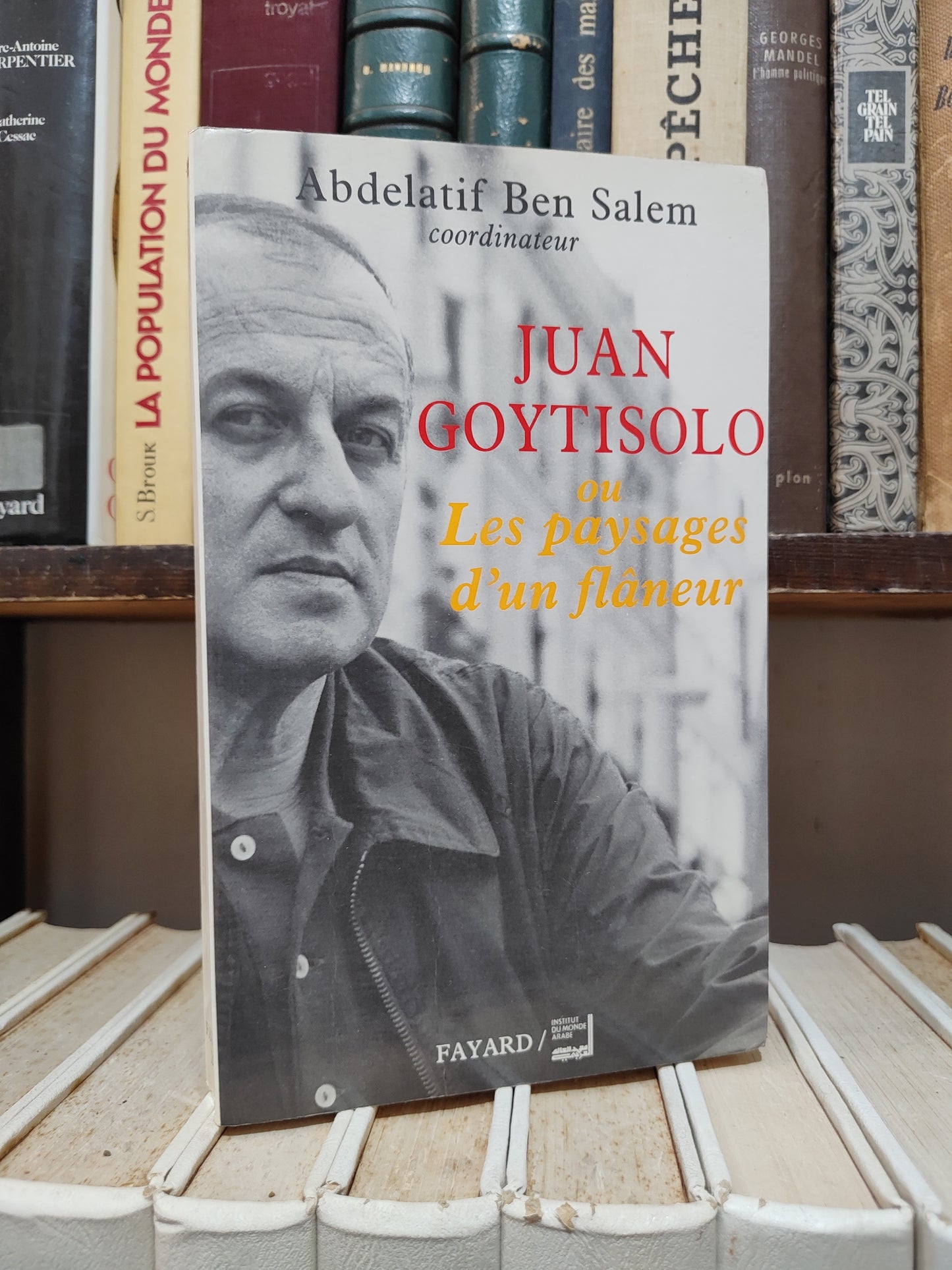 Ben Salem - Juan Goytisolo ou les paysages d'un flâneur
