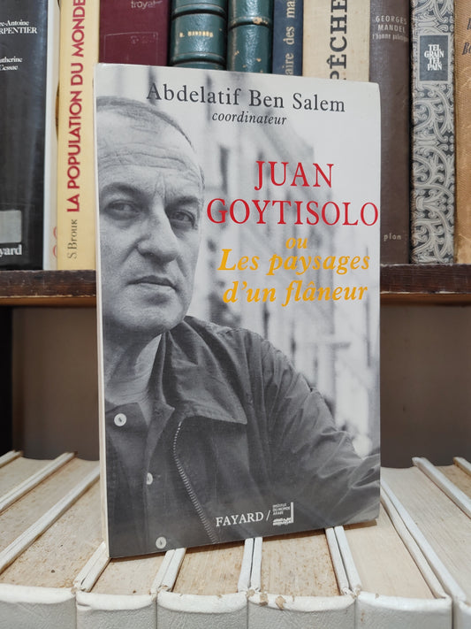 Ben Salem - Juan Goytisolo ou les paysages d'un flâneur