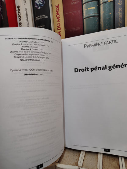 Benillouche - Droit pénal