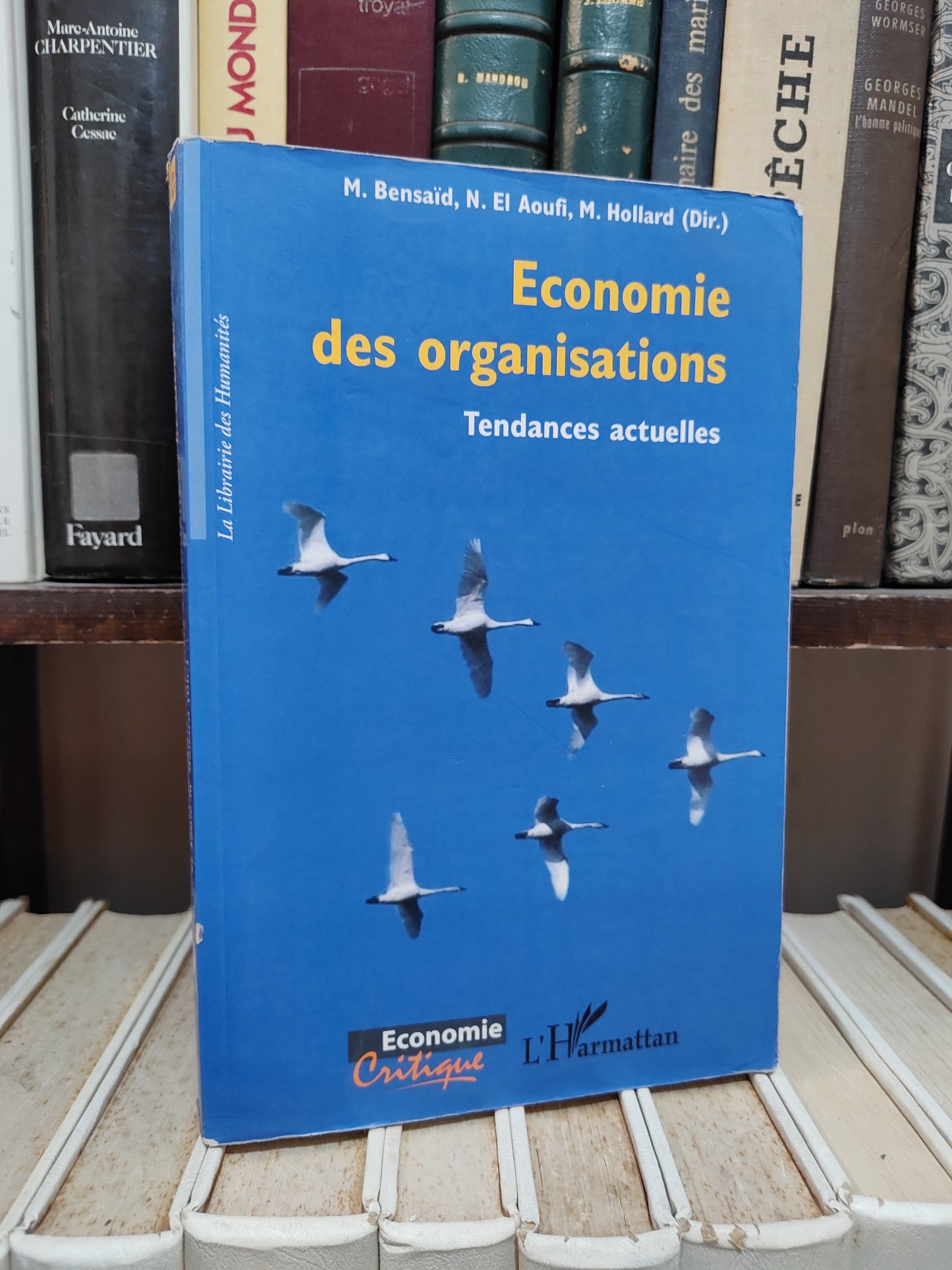 Bensaid - Économie des organisation