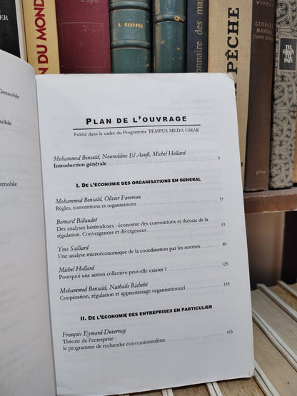 Bensaid - Économie des organisation