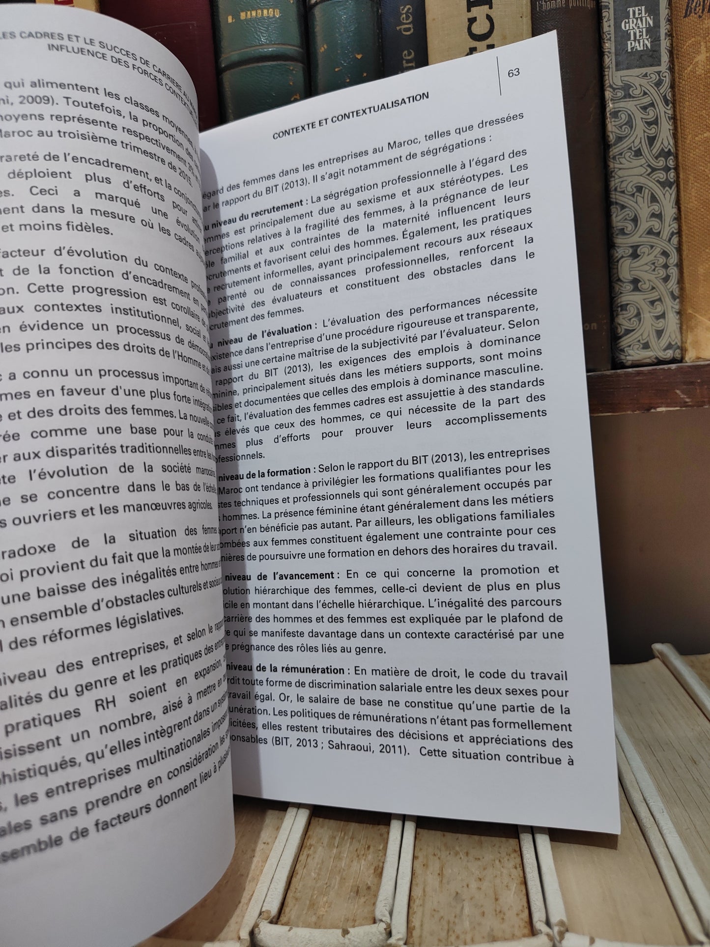 Bentaleb - Contexte et contextualisation : Mosaïque d'approches en management