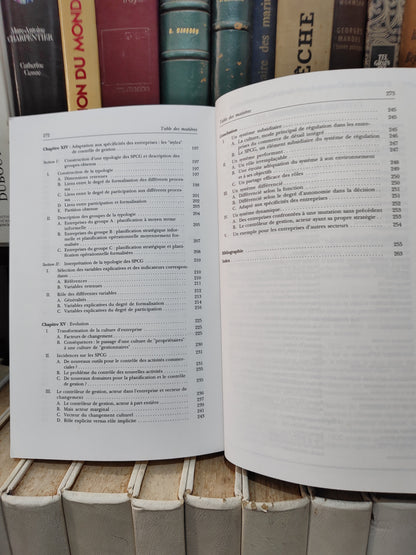 Bessire - Régulation et système de planification contrôle : L'exemple de la grande distribution