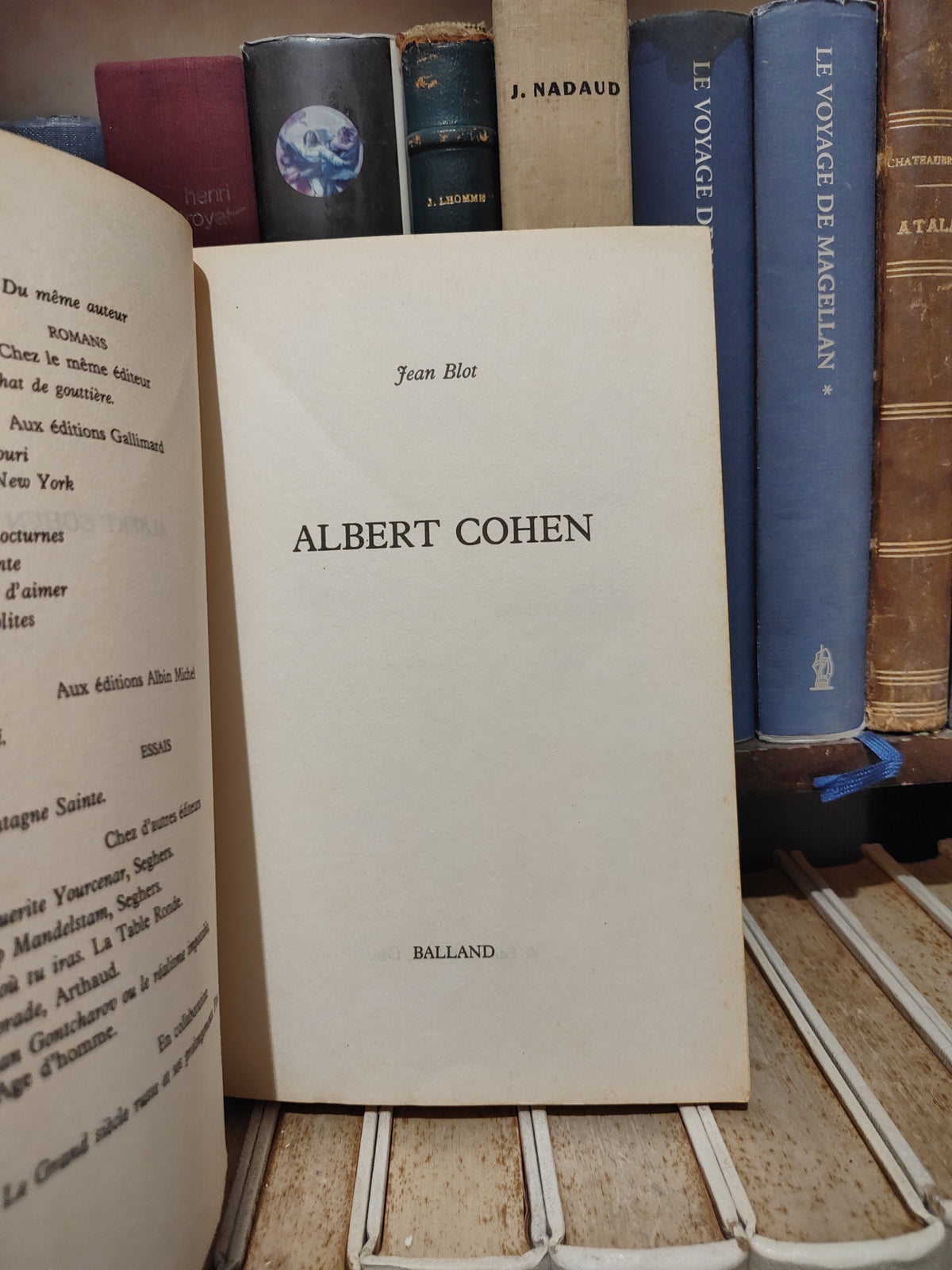 Blot - Albert Cohen
