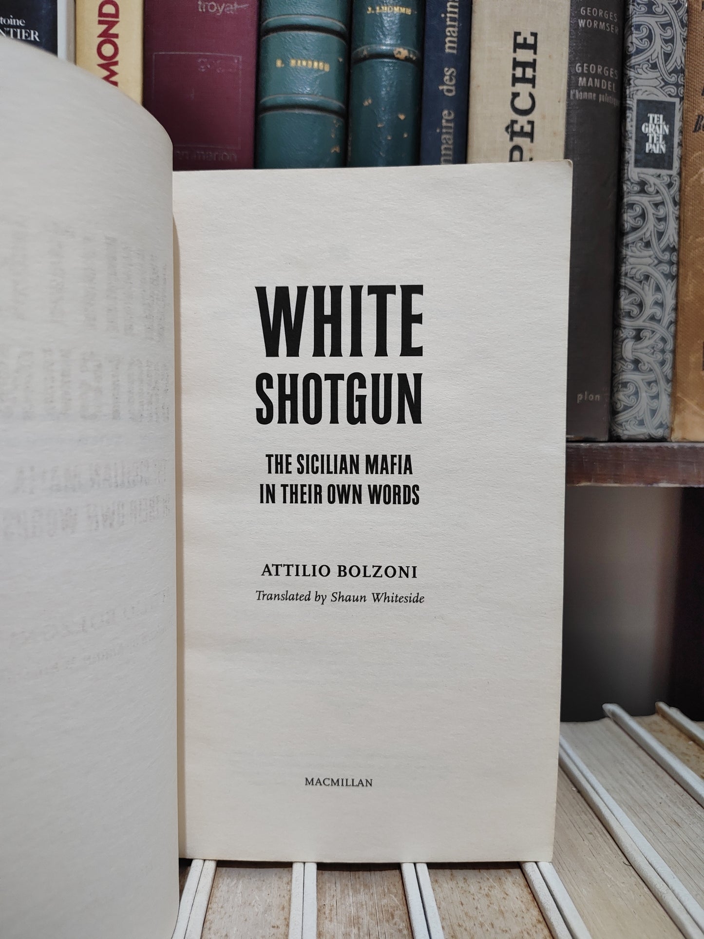 Bolzoni - White Shut.g.un
