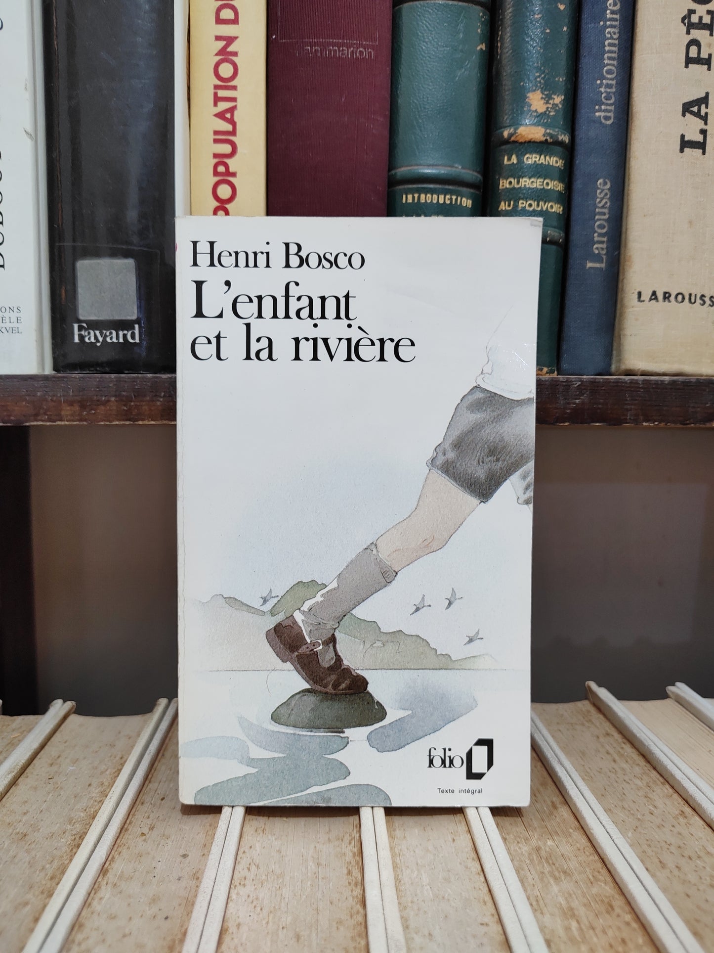 Bosco - L'enfant et la rivière