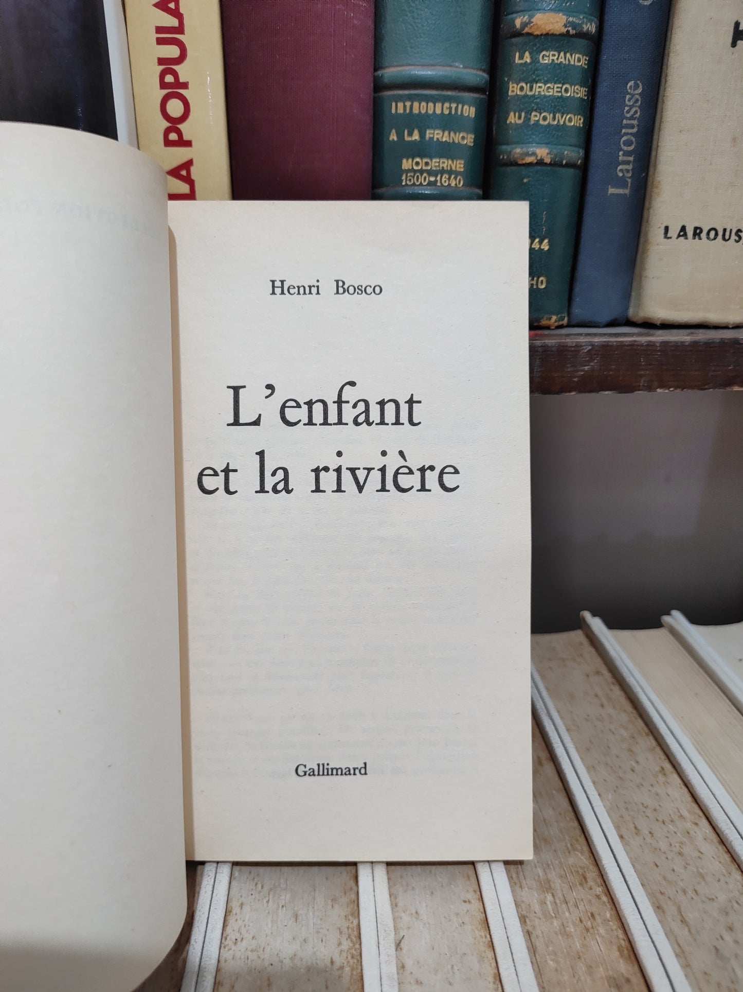 Bosco - L'enfant et la rivière