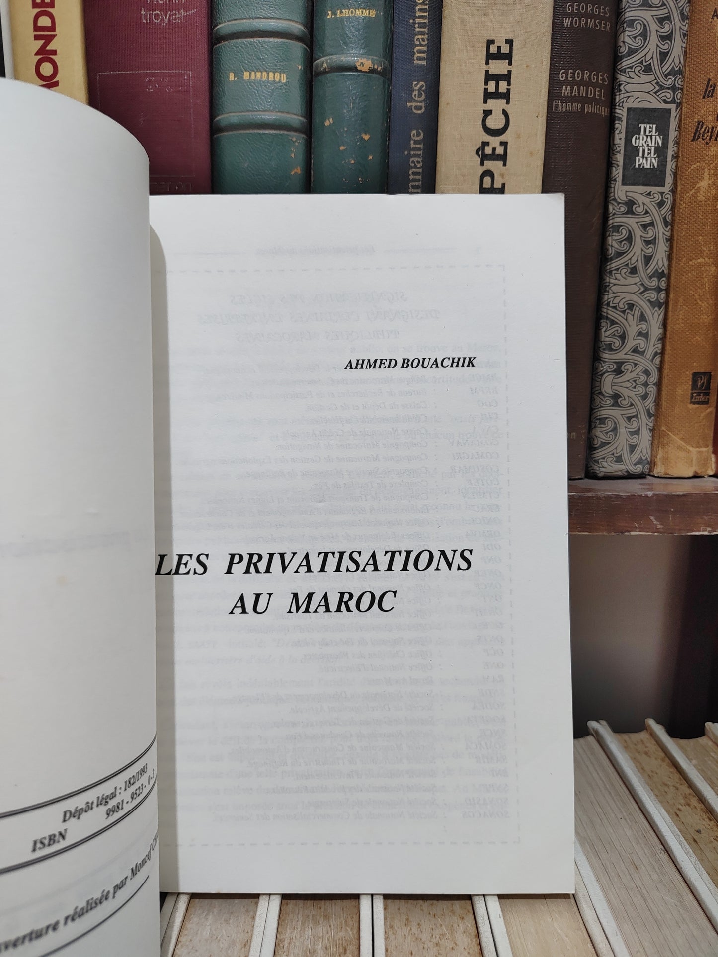 Bouachik - Les privatisation au Maroc