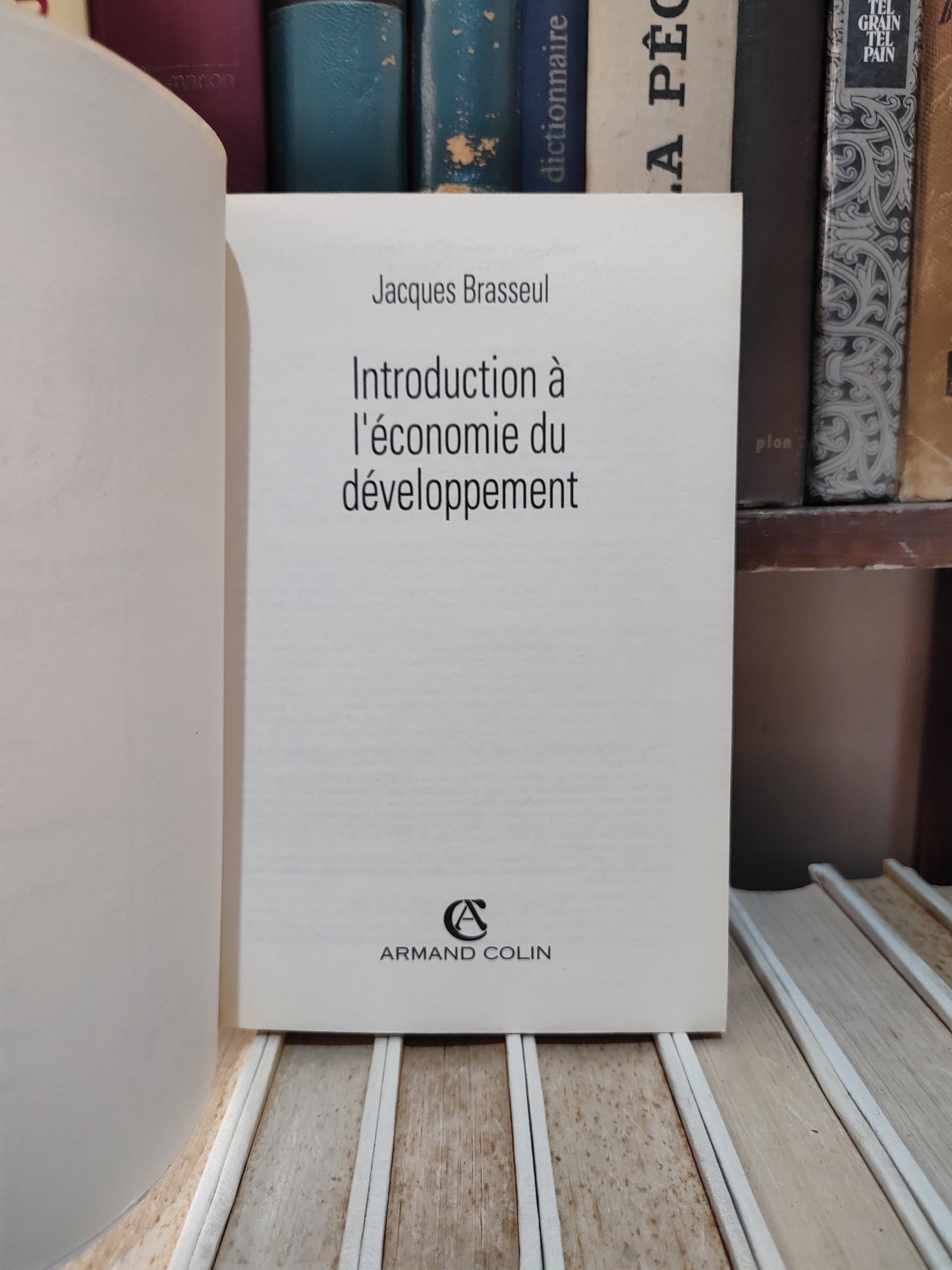 Brasseul - Introduction à l'économie du développement