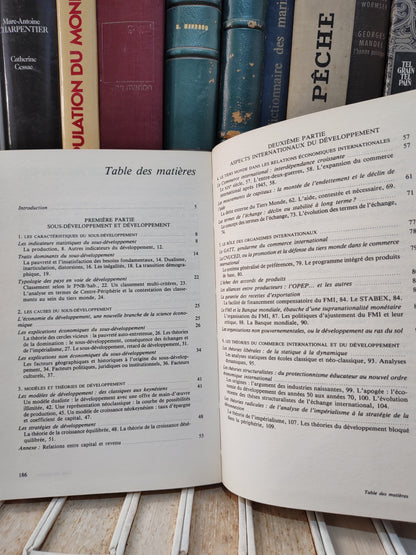 Brasseul - Introduction à l'économie du développement