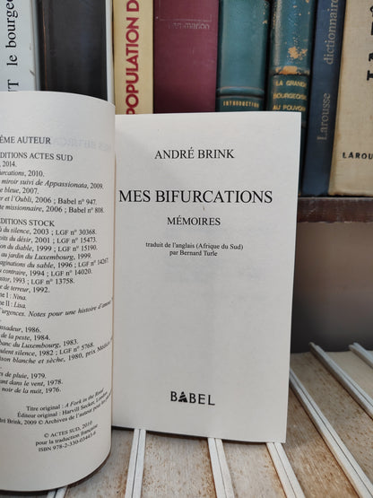 Brink - Mes bifurcations
