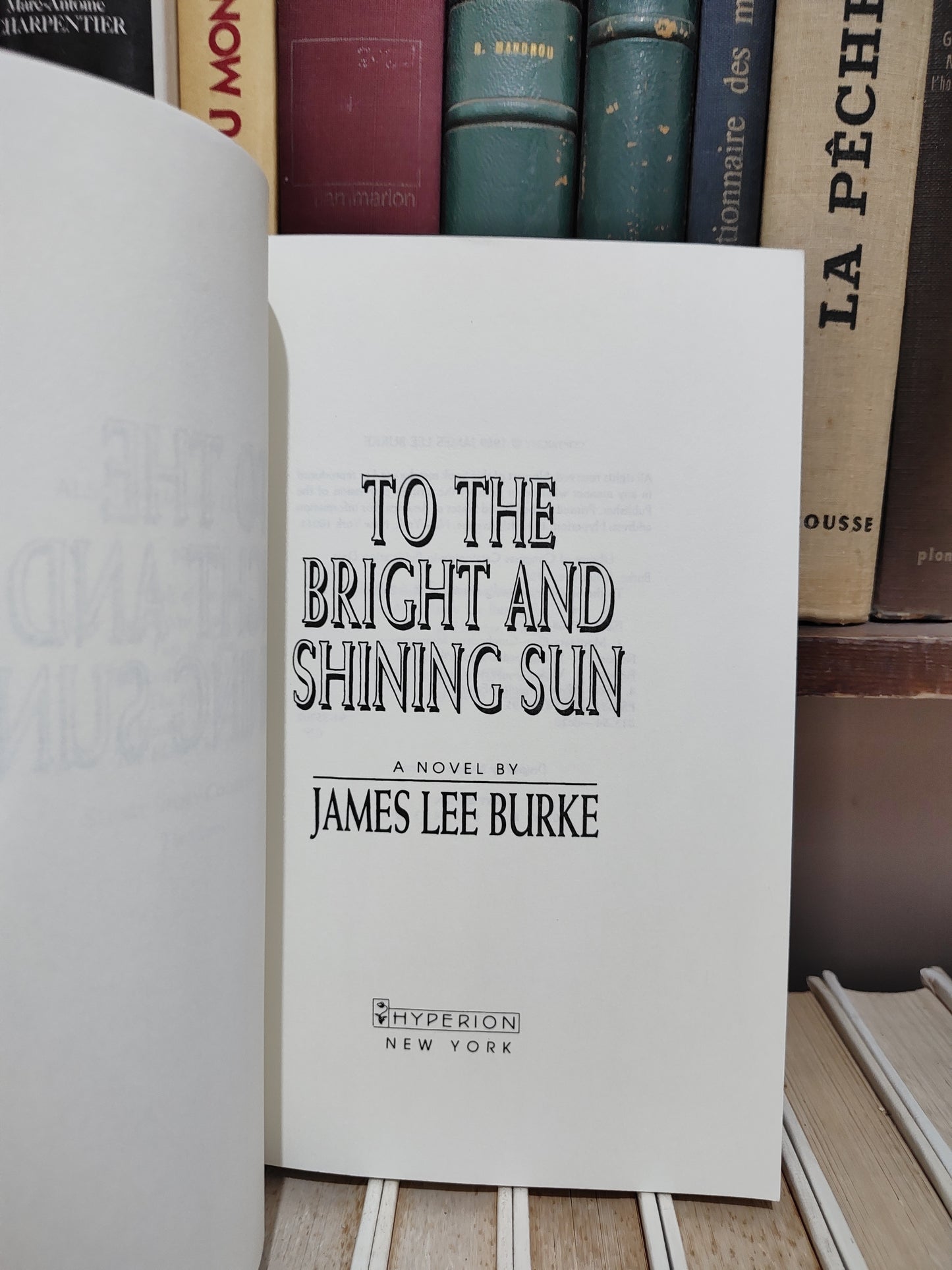 Bruke - To The Bright And Shining Sun