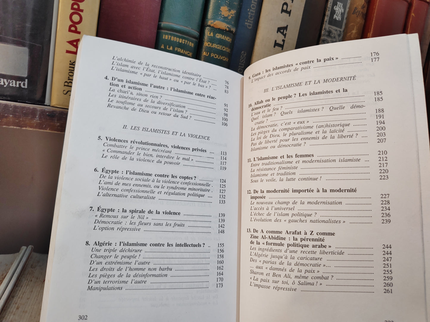 Burgat - L'islamisme en face