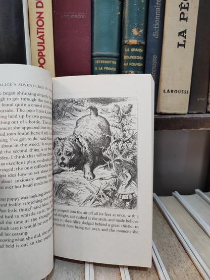 Carroll - Alice's adventures in wonderland
