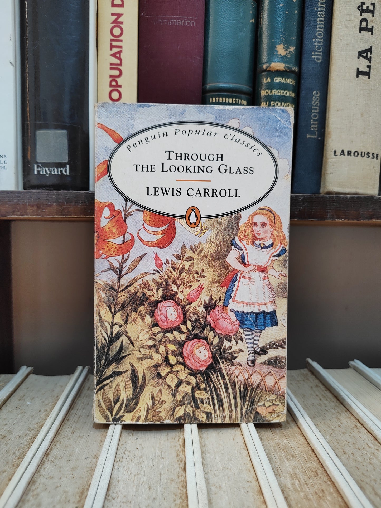 Carroll - Through the looking glass