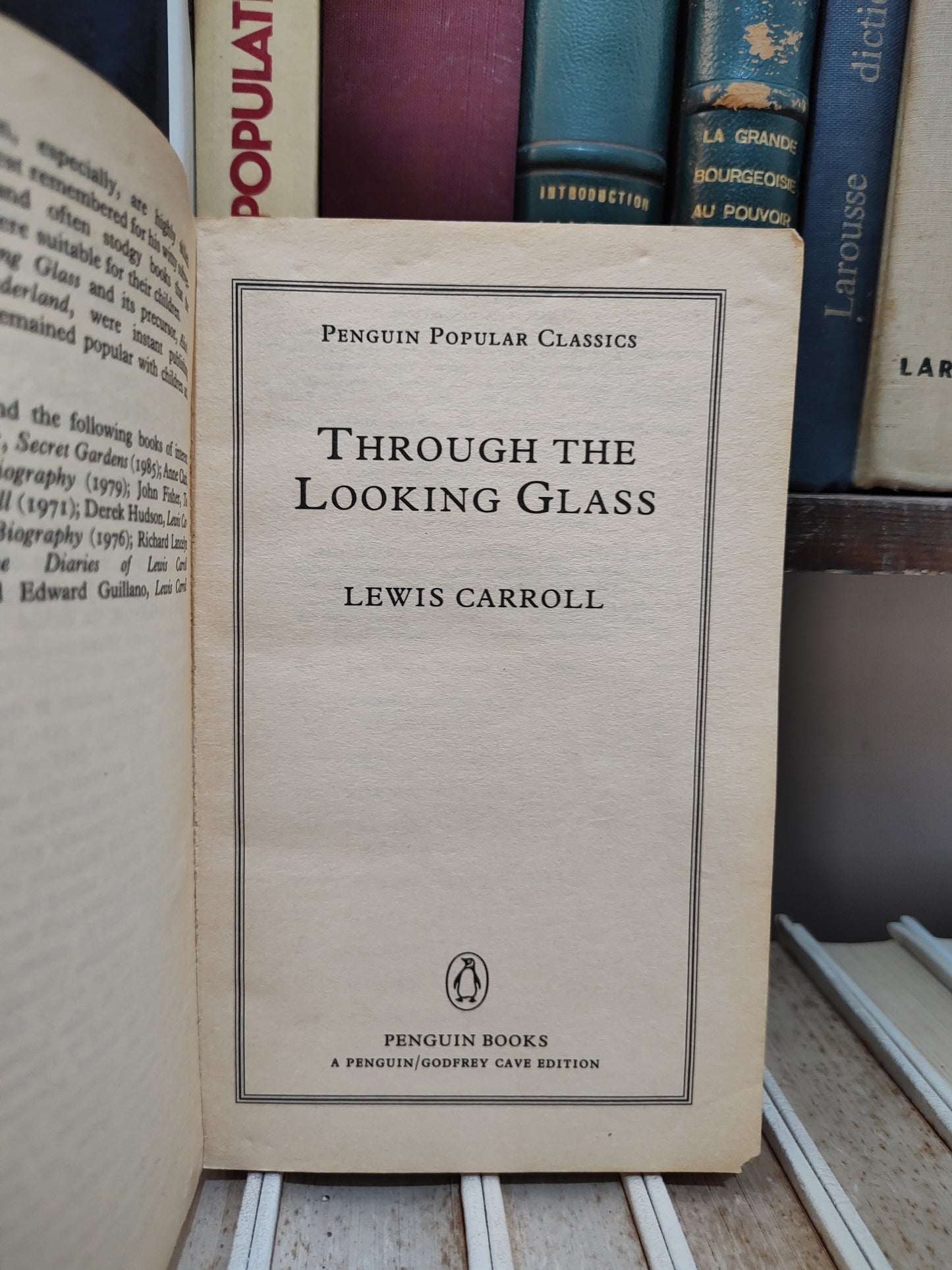 Carroll - Through the looking glass