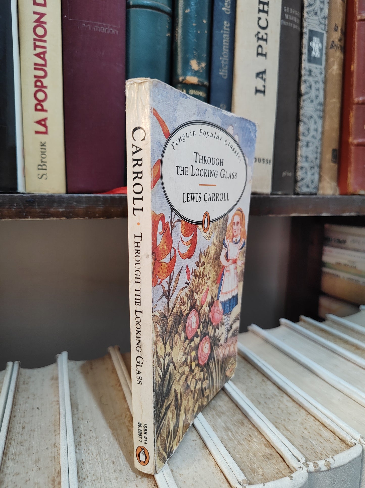 Carroll - Through the looking glass
