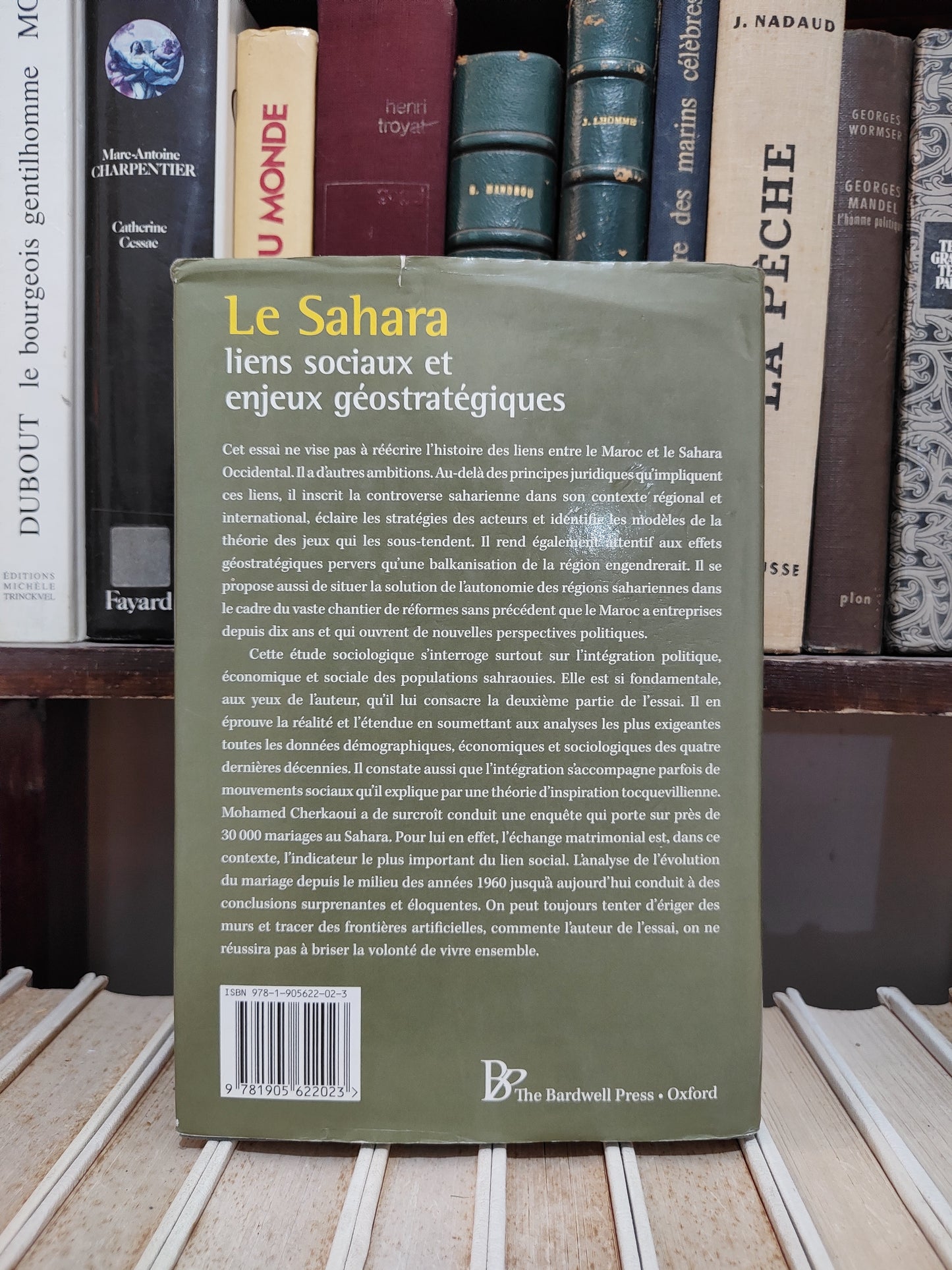 Cherkaoui - Le Sahara : Liens sociaux et enjeux géostratégiques