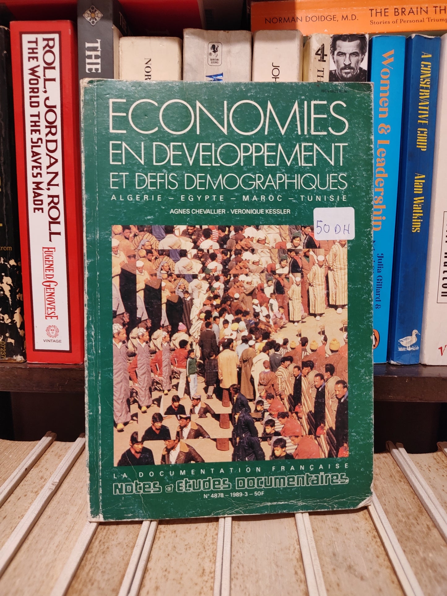 Chevallier - Économies en développement et défis démographique